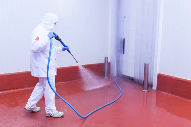 Best Window and Screen Pressure Cleaning in Cordova, NC