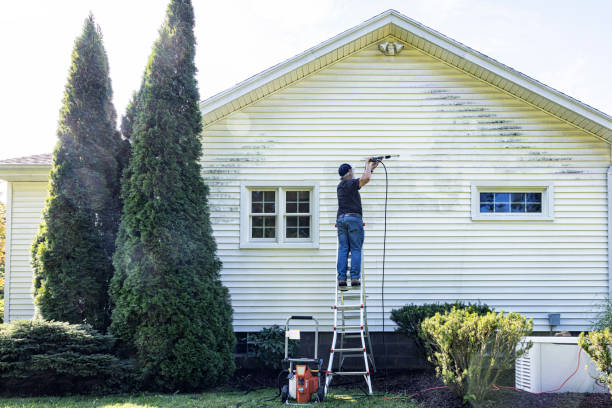 Best Gutter Cleaning and Brightening in Cordova, NC